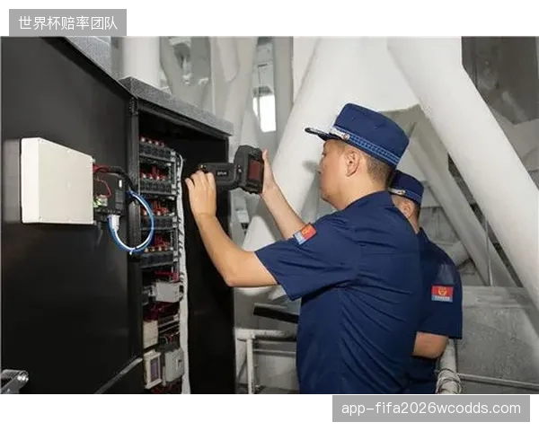 专业志愿者库的信用评级，构成了赛事安保体系中一道成本可控的“软性”防线